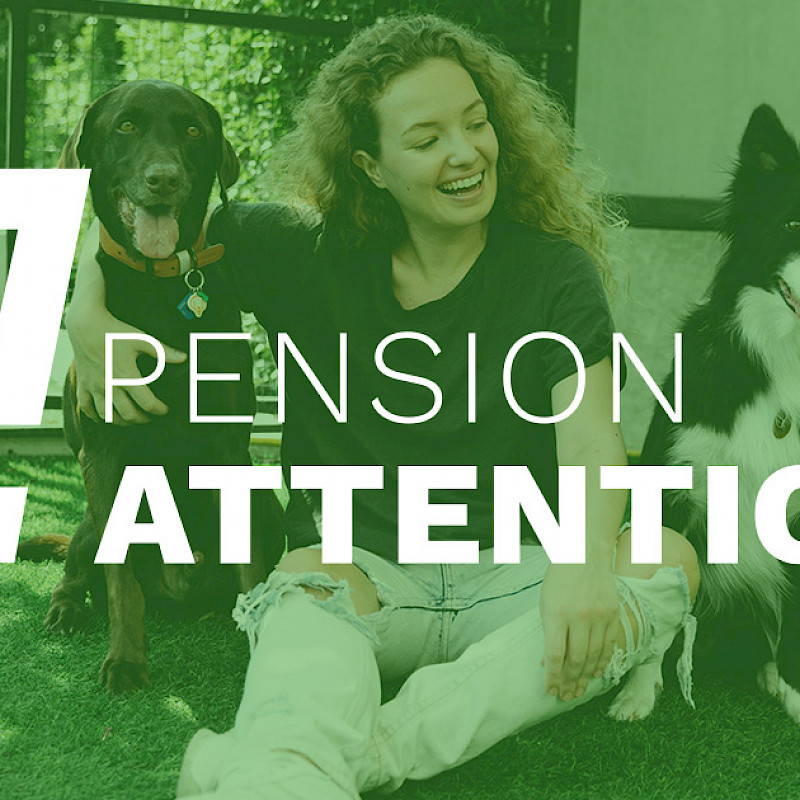 Pension Attention Logo. Im Hintergrund sieht man eine lachende Frau und zwei Hunde.